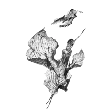 Painting “Crane” (2023) | Aneta & Filip Gębski – MIRAGES, photography & drawing Painting “Crane” (2023) | Aneta & Filip Gębski – MIRAGES, photography & drawing
