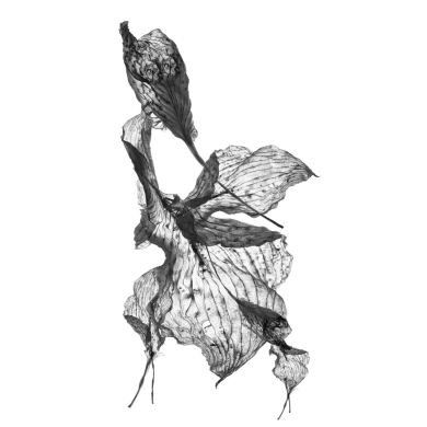 Painting “Heron” (2023) | Aneta & Filip Gębski – MIRAGES, photography & drawing Painting “Heron” (2023) | Aneta & Filip Gębski – MIRAGES, photography & drawing
