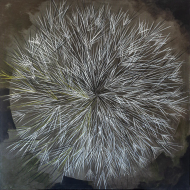 Peinture « Pissenlit » (2022) | Emilia Maryniak – acrylique, nature et poésie de l’éphémère Peinture « Pissenlit » (2022) | Emilia Maryniak – acrylique, nature et poésie de l’éphémère
