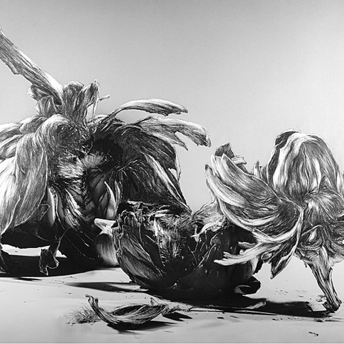 Galeria Sztuki Współczesnej - rysunek, sprzedaż obrazów i dzieł sztuki